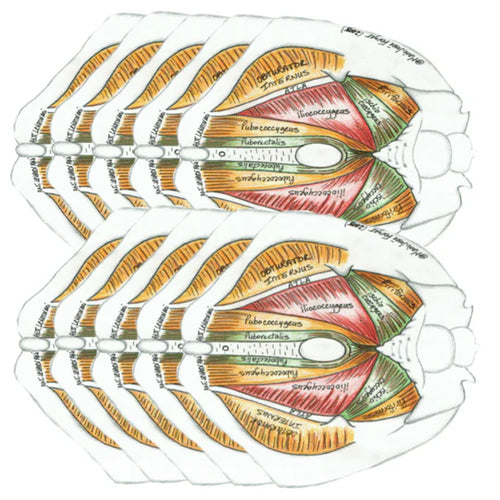 (G) 10 Pack Bundle (Male)