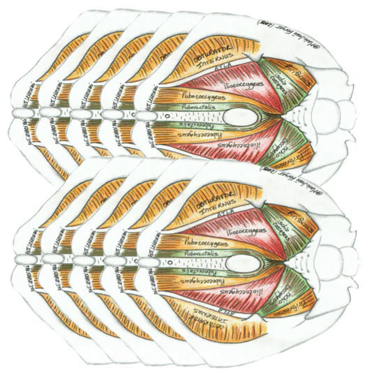 (G) 10 Pack Bundle (Male)